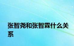 张智尧和张智霖什么关系