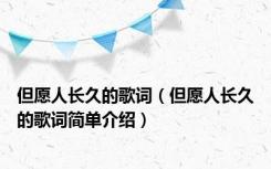 但愿人长久的歌词（但愿人长久的歌词简单介绍）
