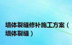 墙体裂缝修补施工方案（墙体裂缝）