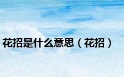 花招是什么意思（花招）