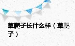 草爬子长什么样（草爬子）