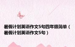 暑假计划英语作文5句四年级简单（暑假计划英语作文5句）
