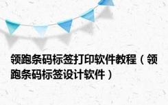 领跑条码标签打印软件教程（领跑条码标签设计软件）