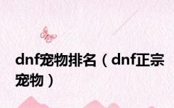 dnf宠物排名（dnf正宗宠物）