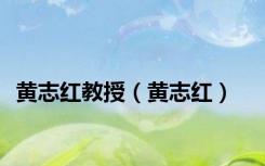 黄志红教授（黄志红）
