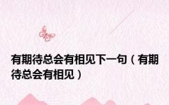 有期待总会有相见下一句（有期待总会有相见）