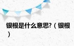银根是什么意思?（银根）