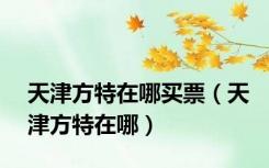 天津方特在哪买票（天津方特在哪）
