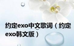 约定exo中文歌词（约定exo韩文版）