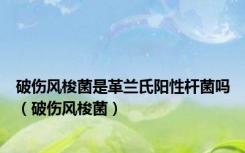 破伤风梭菌是革兰氏阳性杆菌吗（破伤风梭菌）