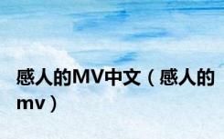 感人的MV中文（感人的mv）