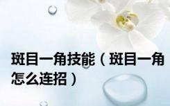 斑目一角技能（斑目一角怎么连招）