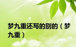 梦九重还写的别的（梦九重）