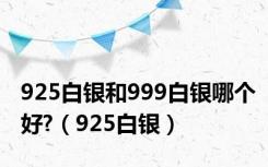 925白银和999白银哪个好?（925白银）