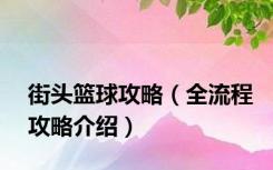 街头篮球攻略（全流程攻略介绍）