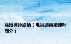 离婚律师剧情（电视剧离婚律师简介）