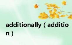 additionally（addition）