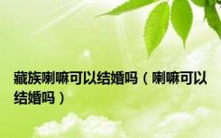 藏族喇嘛可以结婚吗（喇嘛可以结婚吗）