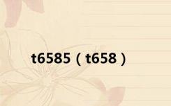 t6585（t658）