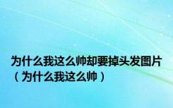 为什么我这么帅却要掉头发图片（为什么我这么帅）