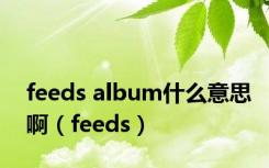 feeds album什么意思啊（feeds）