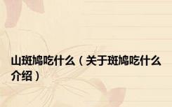 山斑鸠吃什么（关于斑鸠吃什么介绍）