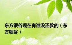 东方银谷现在有谁没还款的（东方银谷）