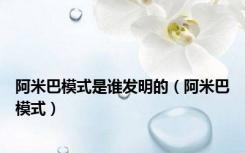 阿米巴模式是谁发明的（阿米巴模式）
