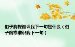俗子胸襟谁识我下一句是什么（俗子胸襟谁识我下一句）