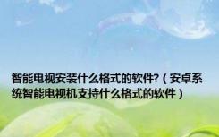 智能电视安装什么格式的软件?（安卓系统智能电视机支持什么格式的软件）