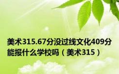 美术315.67分没过线文化409分能报什么学校吗（美术315）