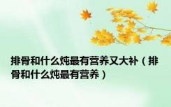 排骨和什么炖最有营养又大补（排骨和什么炖最有营养）