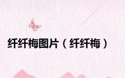 纤纤梅图片（纤纤梅）