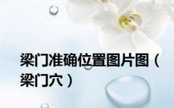 梁门准确位置图片图（梁门穴）