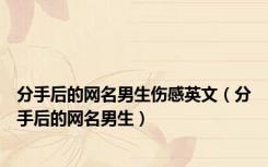 分手后的网名男生伤感英文（分手后的网名男生）