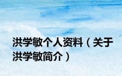 洪学敏个人资料（关于洪学敏简介）