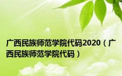 广西民族师范学院代码2020（广西民族师范学院代码）