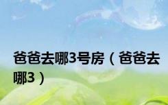 爸爸去哪3号房（爸爸去哪3）