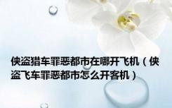 侠盗猎车罪恶都市在哪开飞机（侠盗飞车罪恶都市怎么开客机）