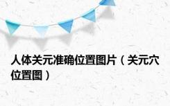 人体关元准确位置图片（关元穴位置图）