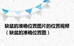 缺盆的准确位置图片的位置视频（缺盆的准确位置图）