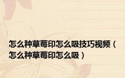 怎么种草莓印怎么吸技巧视频（怎么种草莓印怎么吸）