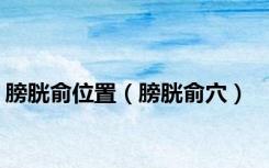 膀胱俞位置（膀胱俞穴）