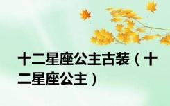 十二星座公主古装（十二星座公主）