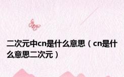 二次元中cn是什么意思（cn是什么意思二次元）