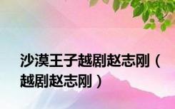 沙漠王子越剧赵志刚（越剧赵志刚）