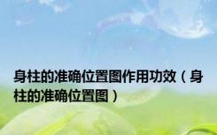 身柱的准确位置图作用功效（身柱的准确位置图）