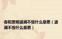 春和景明波澜不惊什么意思（波澜不惊什么意思）