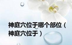 神庭穴位于哪个部位（神庭穴位于）