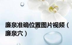 廉泉准确位置图片视频（廉泉穴）
